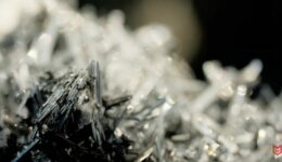 quest-bonus-mineralvid-nov-25