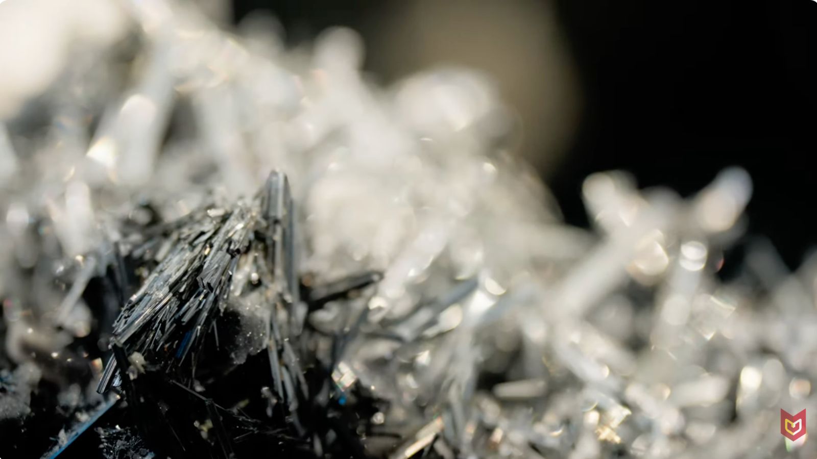 quest-bonus-mineralvid-nov-25