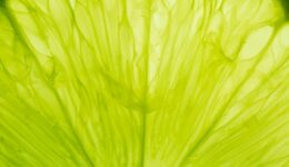 feb-26-what-am-i-feat