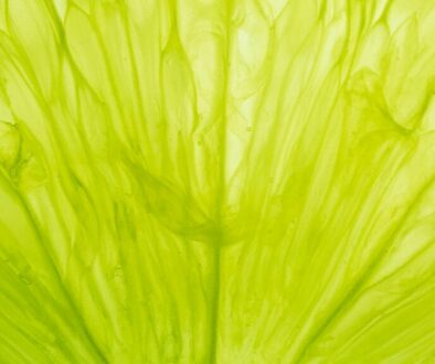 feb-26-what-am-i-feat