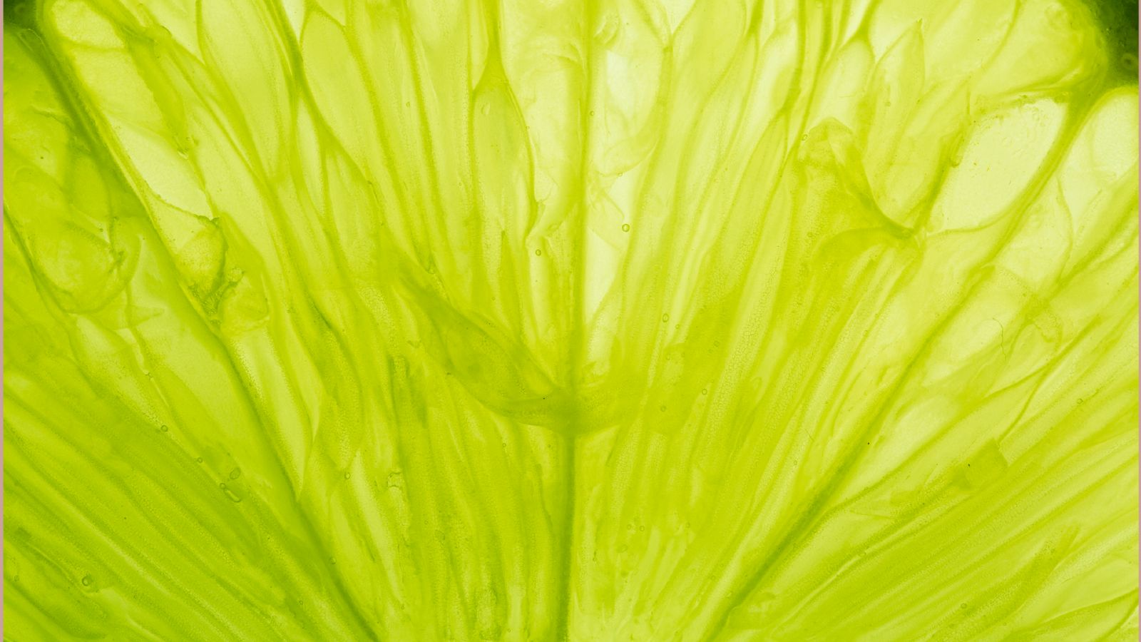 feb-26-what-am-i-feat